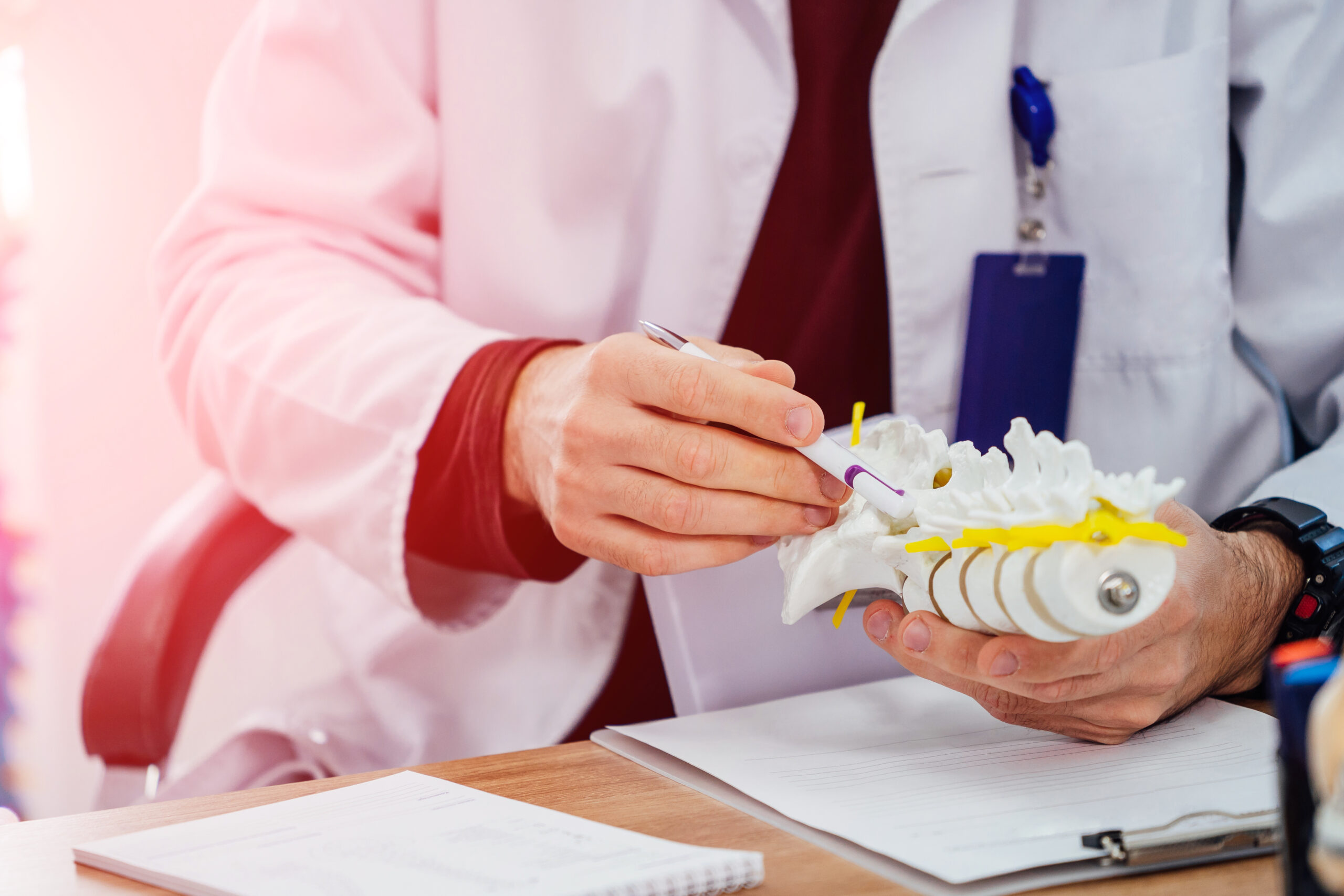 A close-up of an experienced spine specialist examining a model of the human spine.
